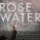 Rosewater (2014) online subtitrat in limba romana